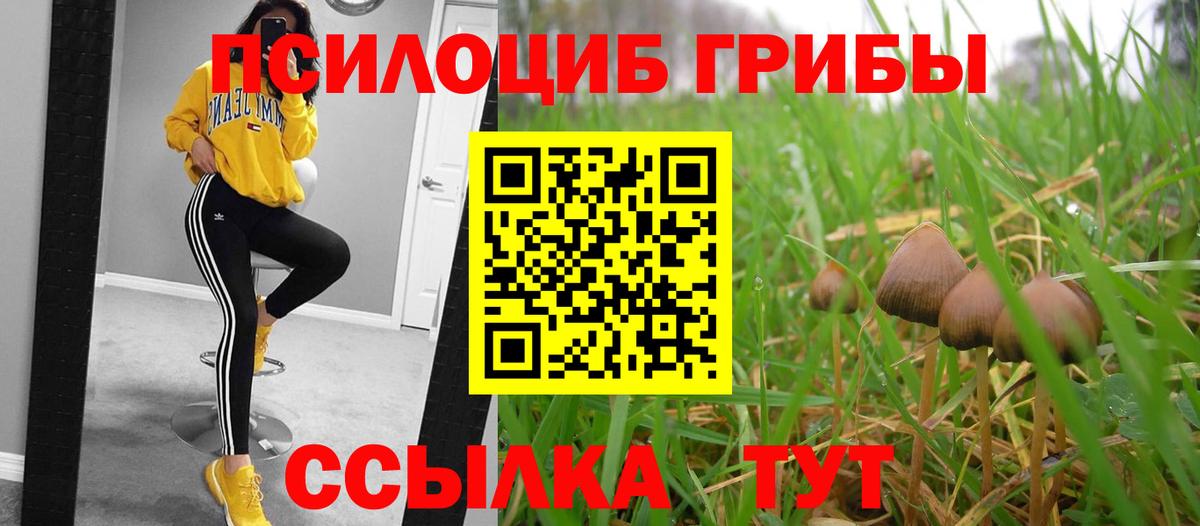 Псилоцибиновые грибы GOLDEN TEACHER Ликино-Дулёво