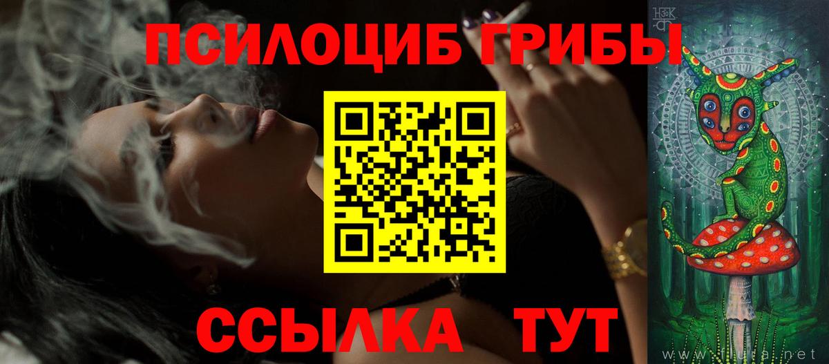 Псилоцибиновые грибы Magic Shrooms  Псилоцибиновые грибы GOLDEN TEACHER  Вход с VPN  Ликино-Дулёво 